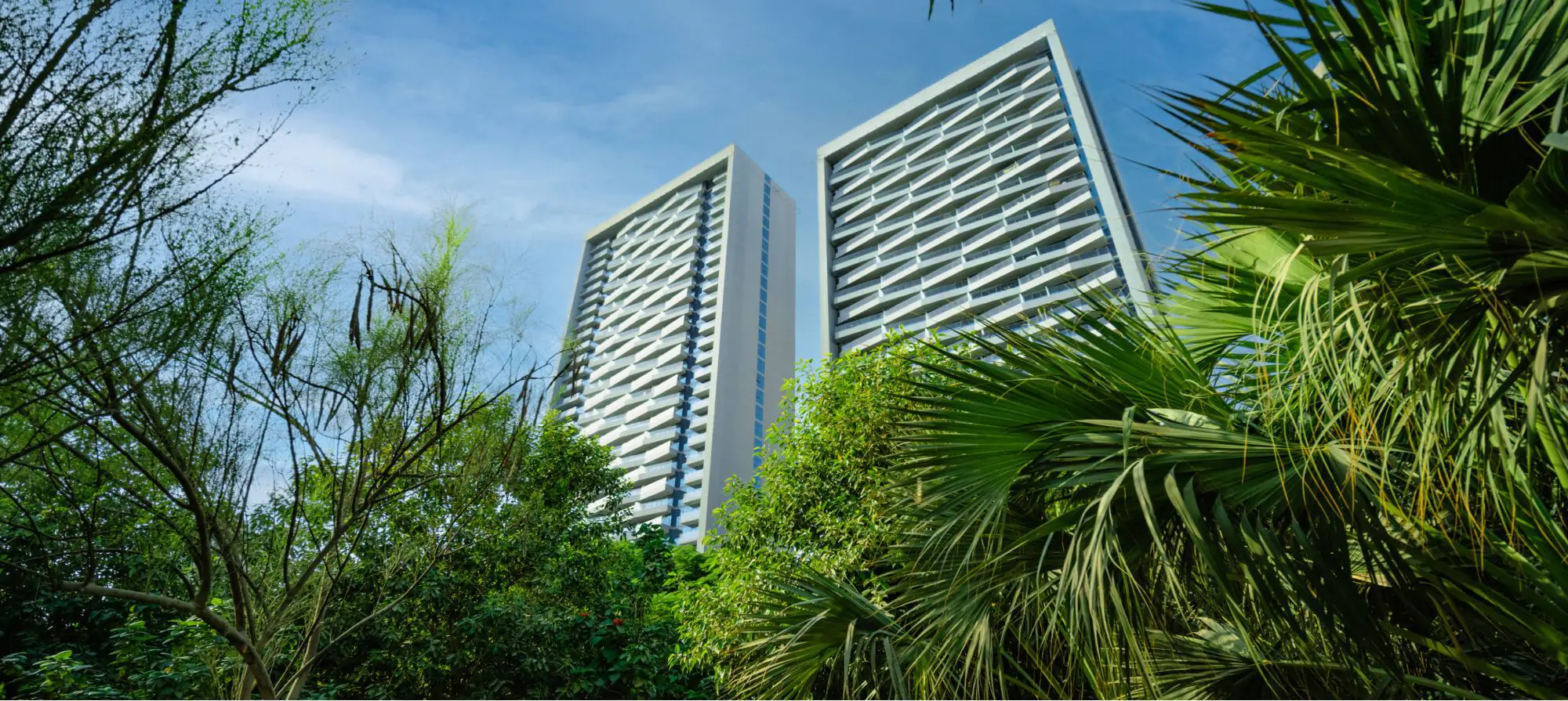 Article Header - Bloom Heights 03 1.jpg